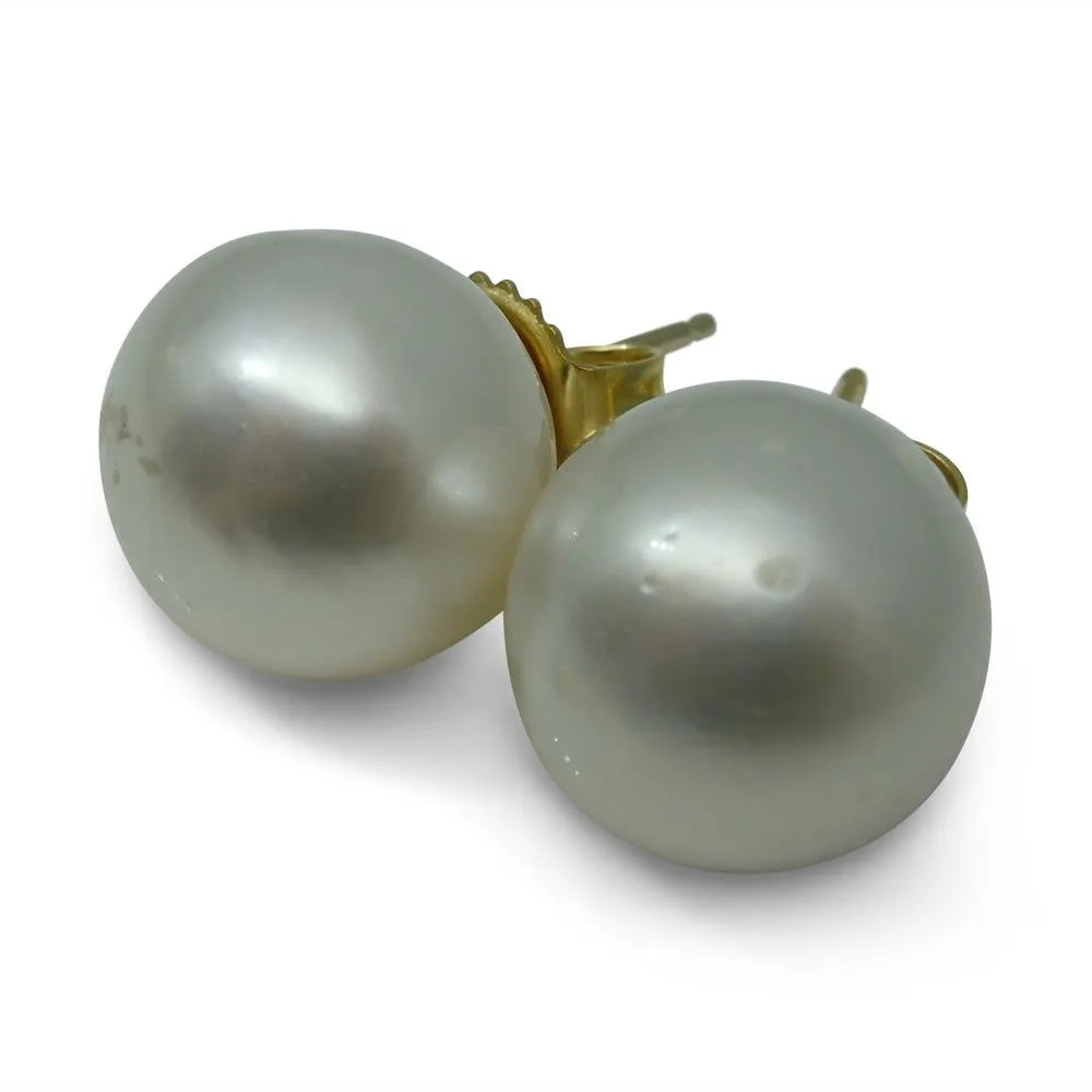 11mm White South Sea Pearl Earrings in 14k Yellow Gold