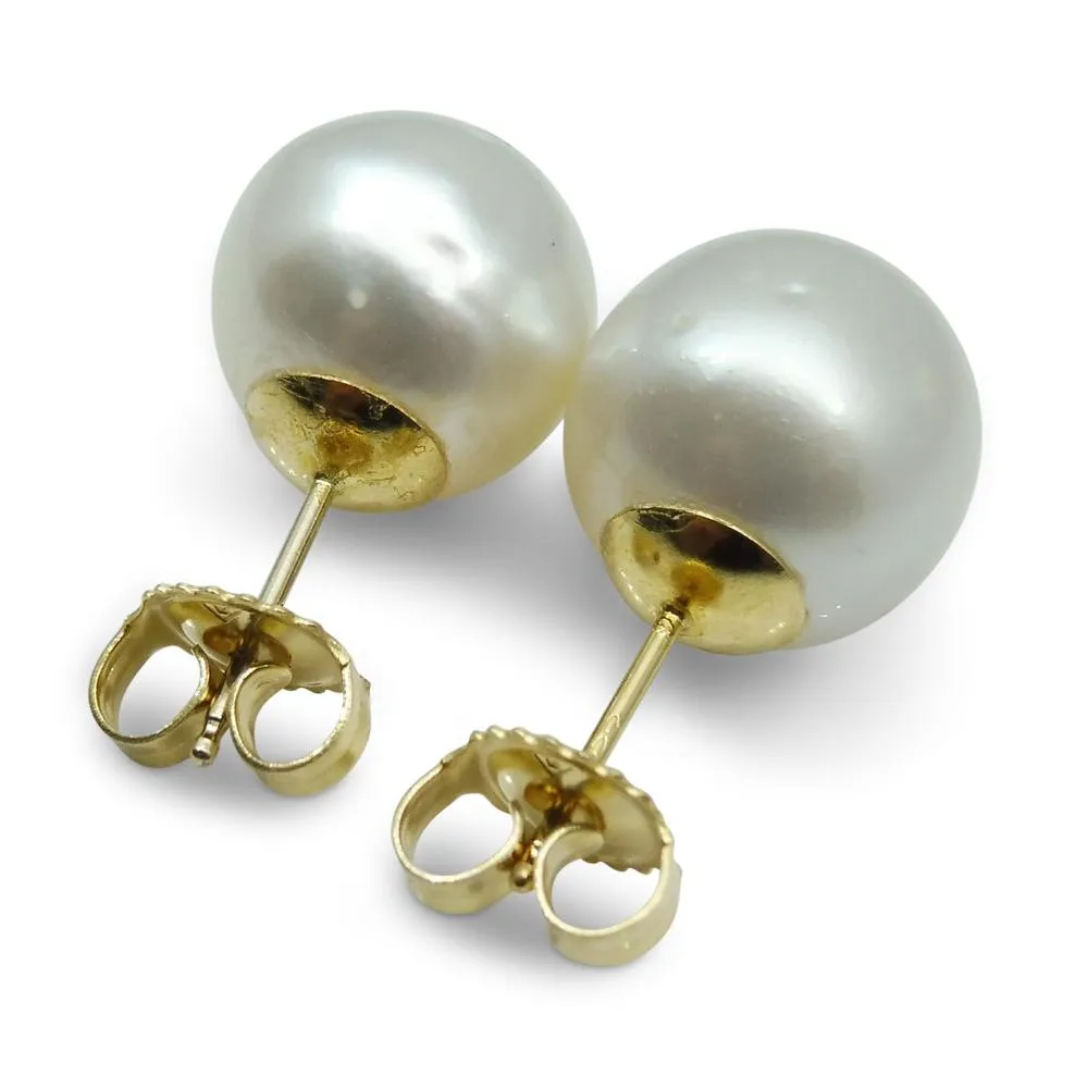 11mm White South Sea Pearl Earrings in 14k Yellow Gold