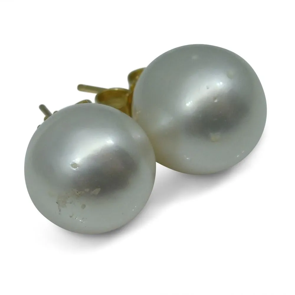 11mm White South Sea Pearl Earrings in 14k Yellow Gold