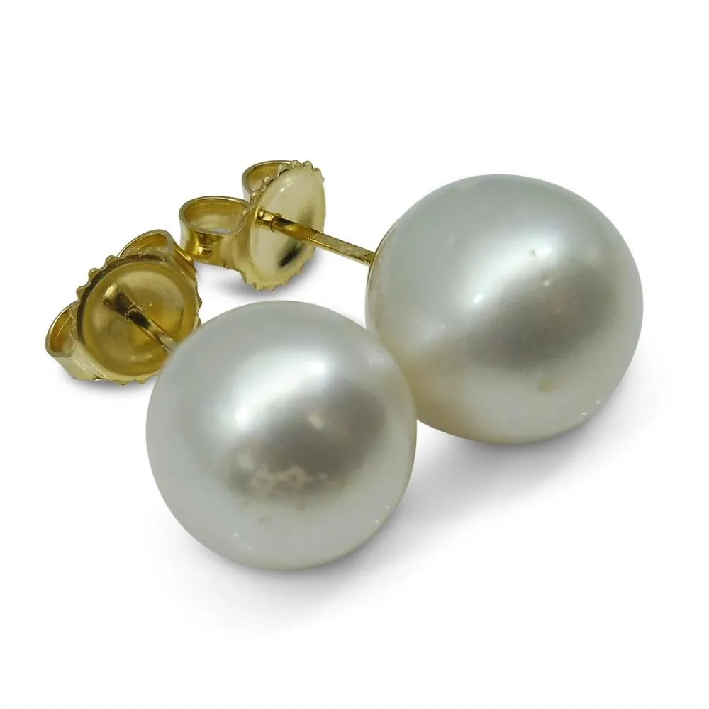 11mm White South Sea Pearl Earrings in 14k Yellow Gold