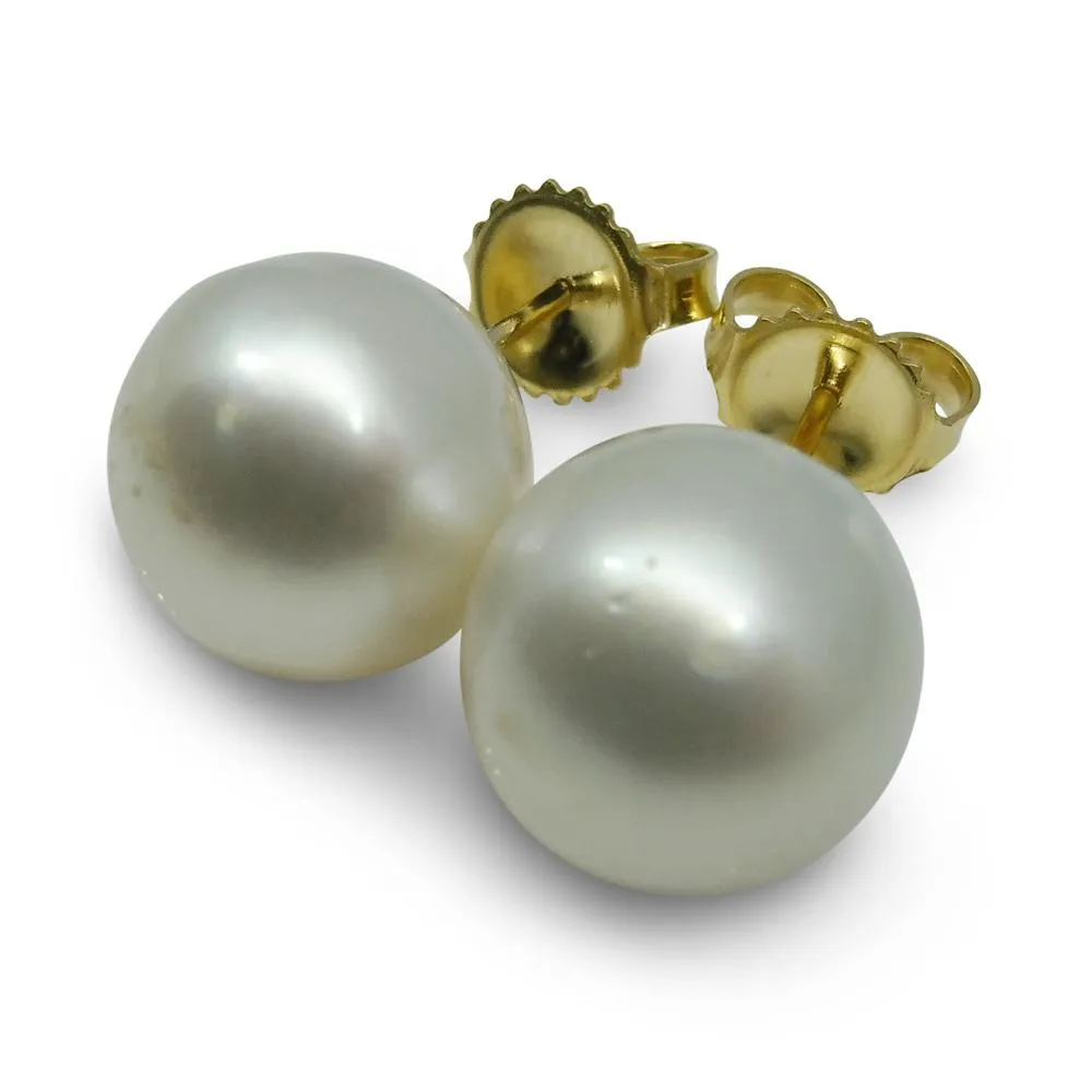 11mm White South Sea Pearl Earrings in 14k Yellow Gold