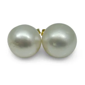 11mm White South Sea Pearl Earrings in 14k Yellow Gold
