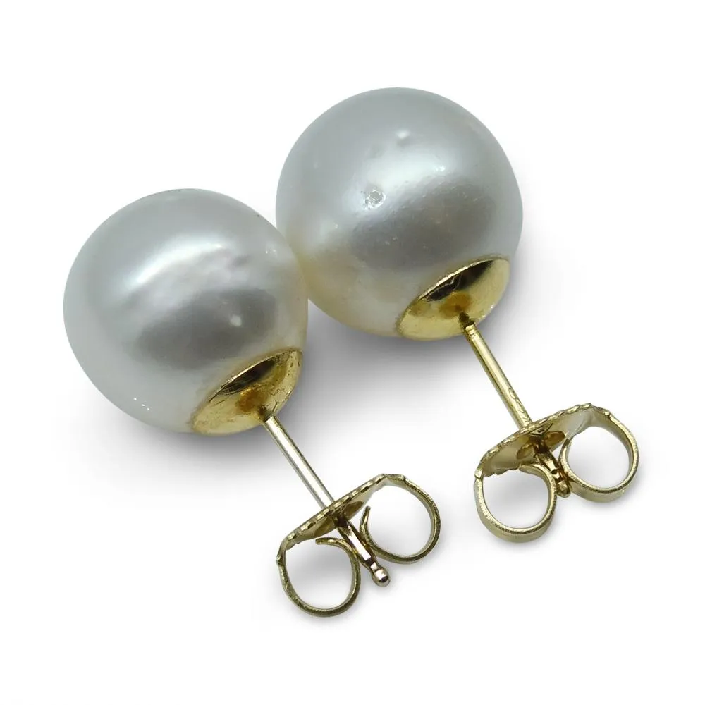 9mm White South Sea Pearl Earrings in 14k Yellow Gold