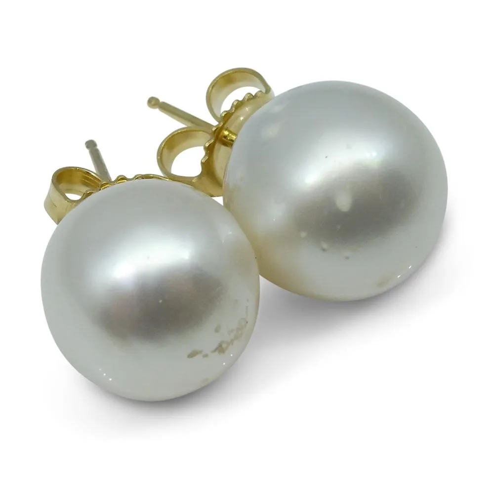 9mm White South Sea Pearl Earrings in 14k Yellow Gold