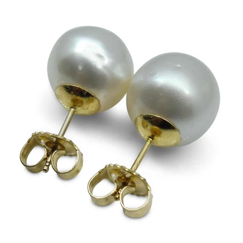 9mm White South Sea Pearl Earrings in 14k Yellow Gold