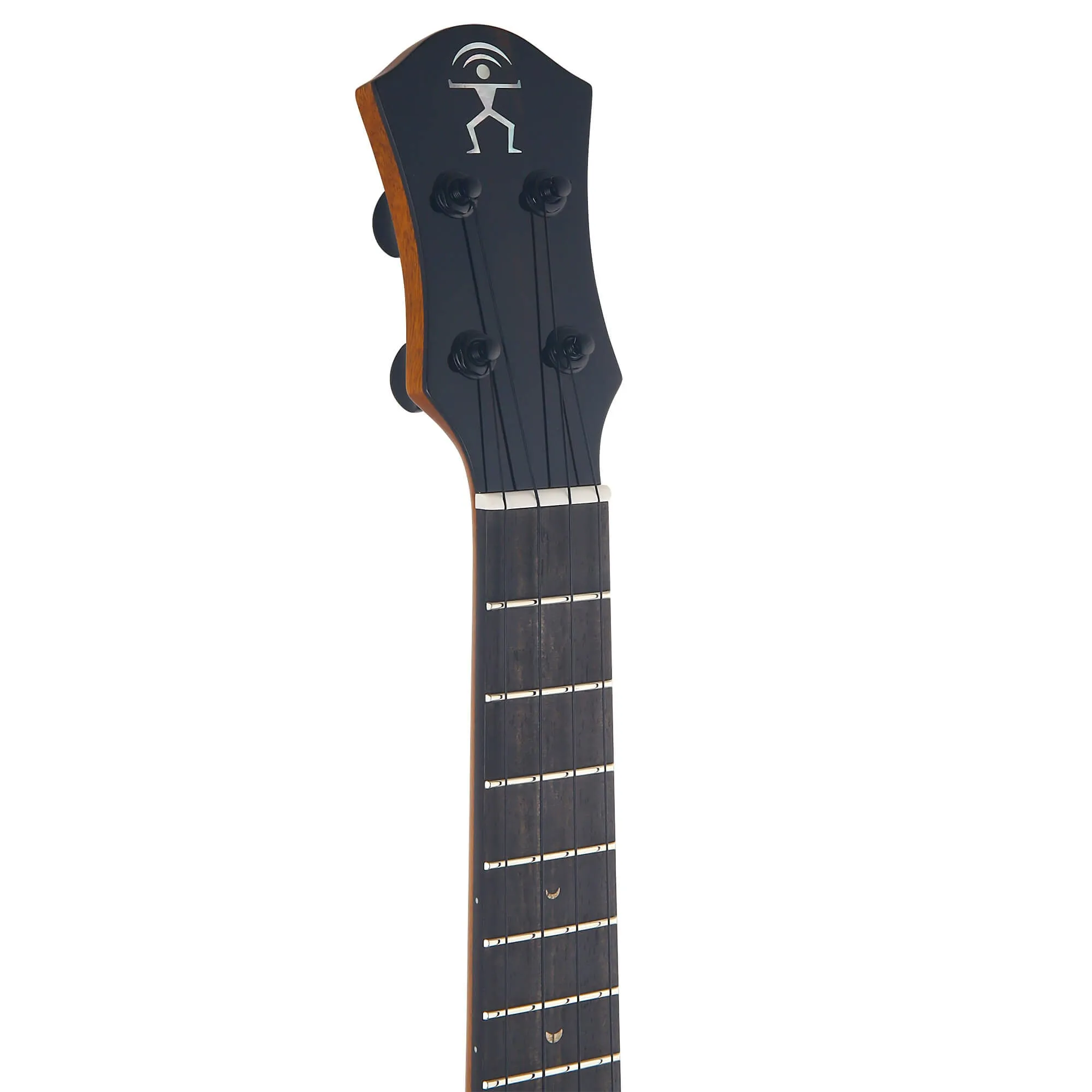 aNueNue Cedar Bird Tenor Electric Ukulele UT214E