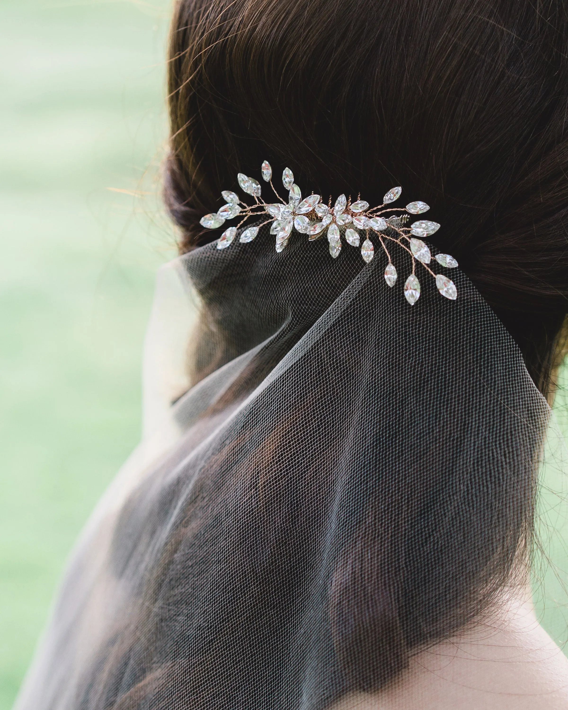 Aster Comb