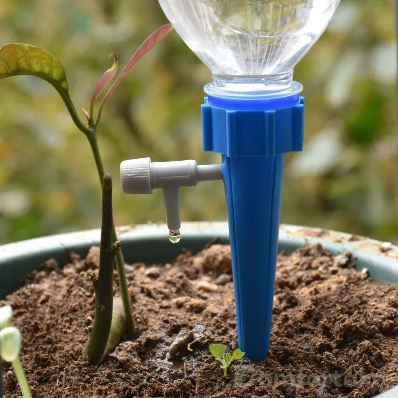 Automatic Watering Houseplant