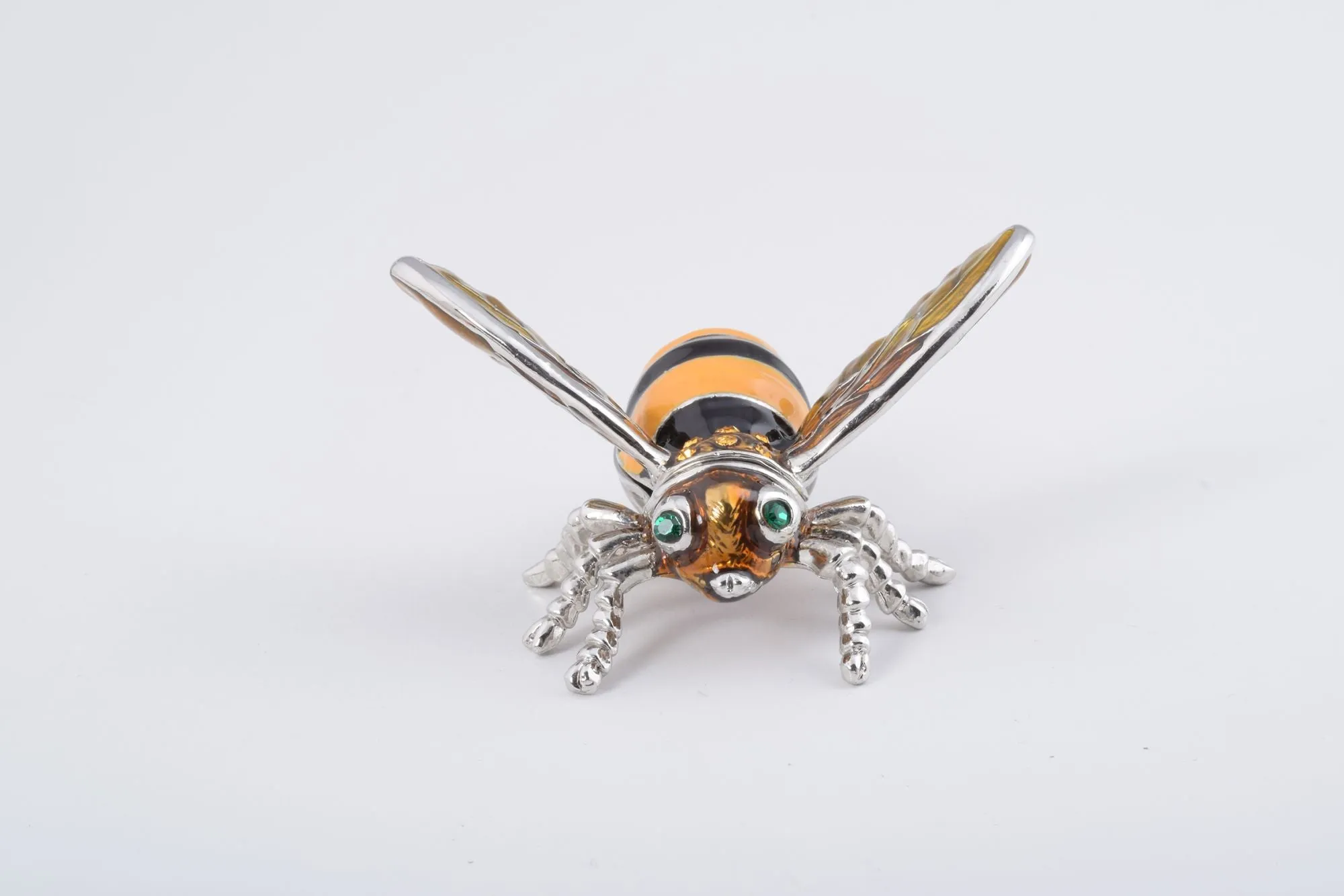 Black & Yellow Bee