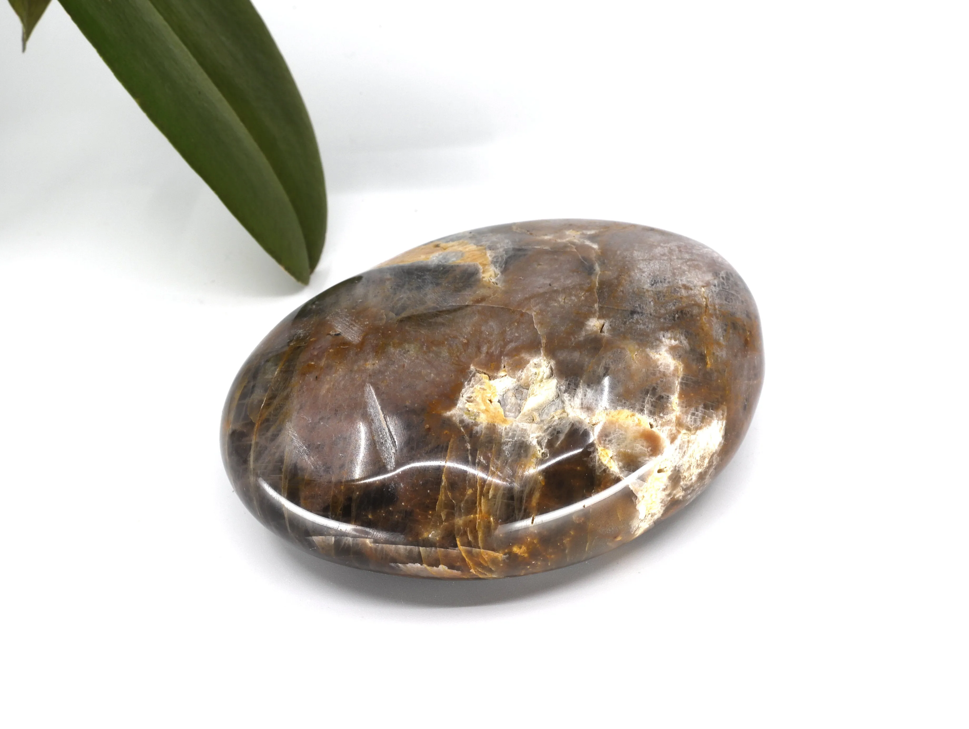 Black Moonstone dish | 468g