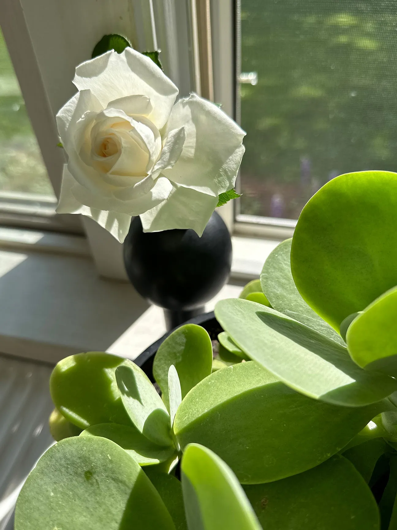 Black Soapstone Keyhole Vase