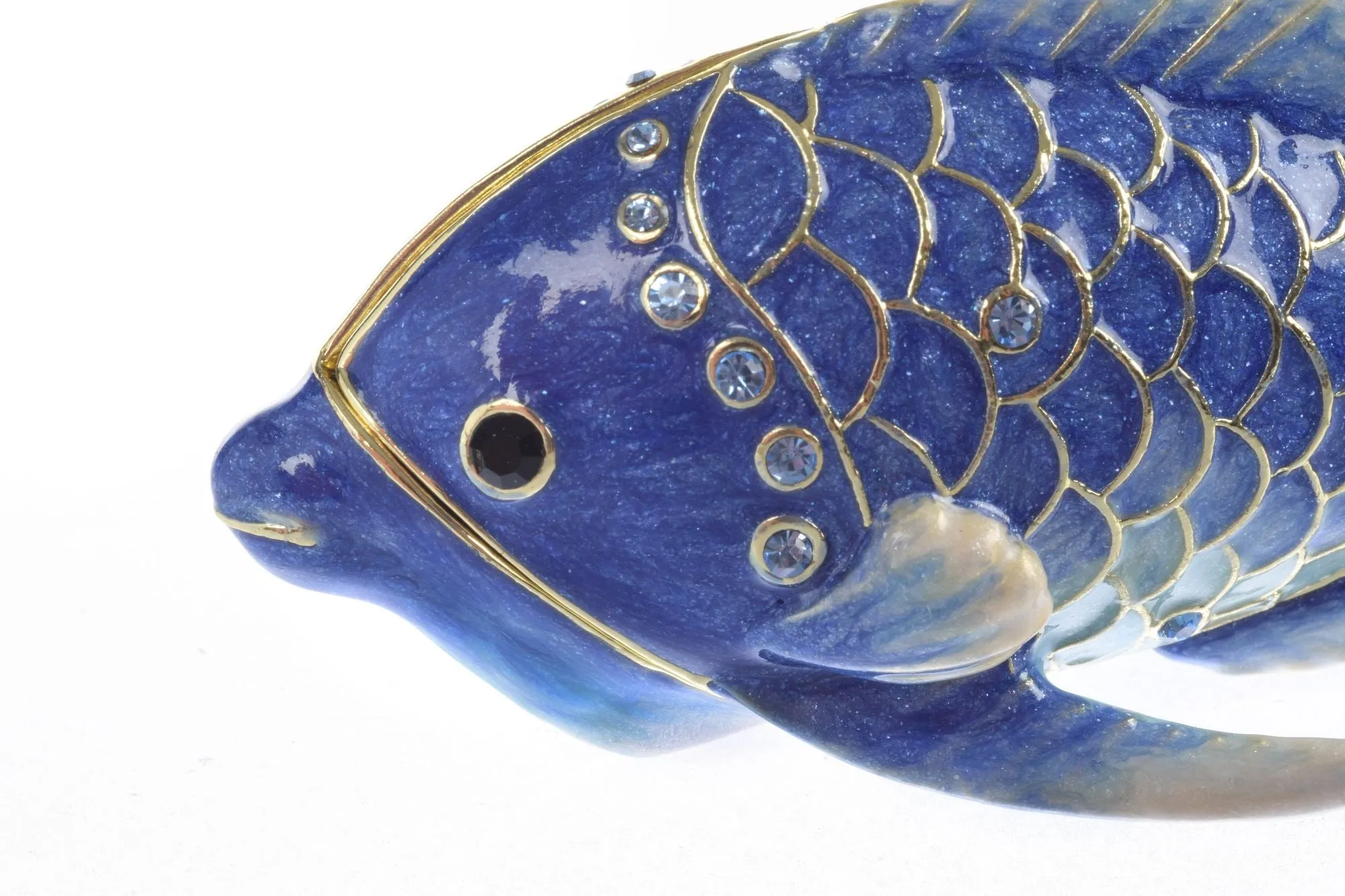Blue Rainbowfish Fish trinket box