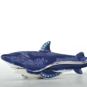Blue Shark