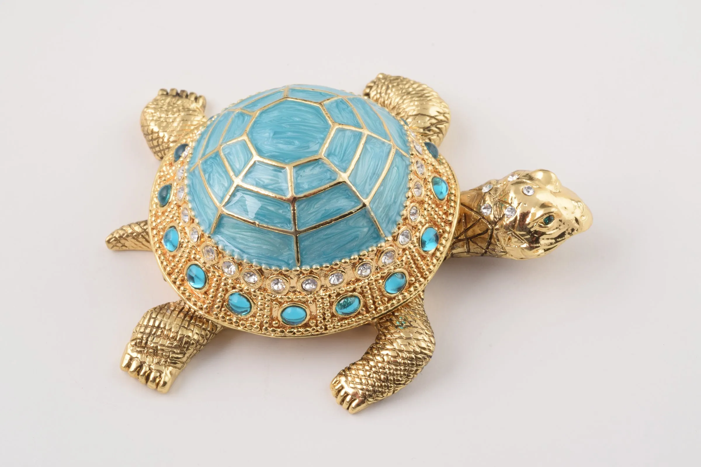 Blue Turtle