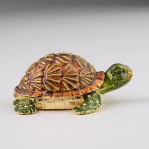 Brown Turtle