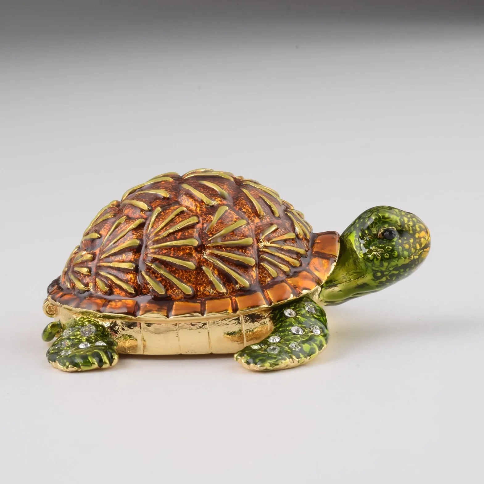 Brown Turtle
