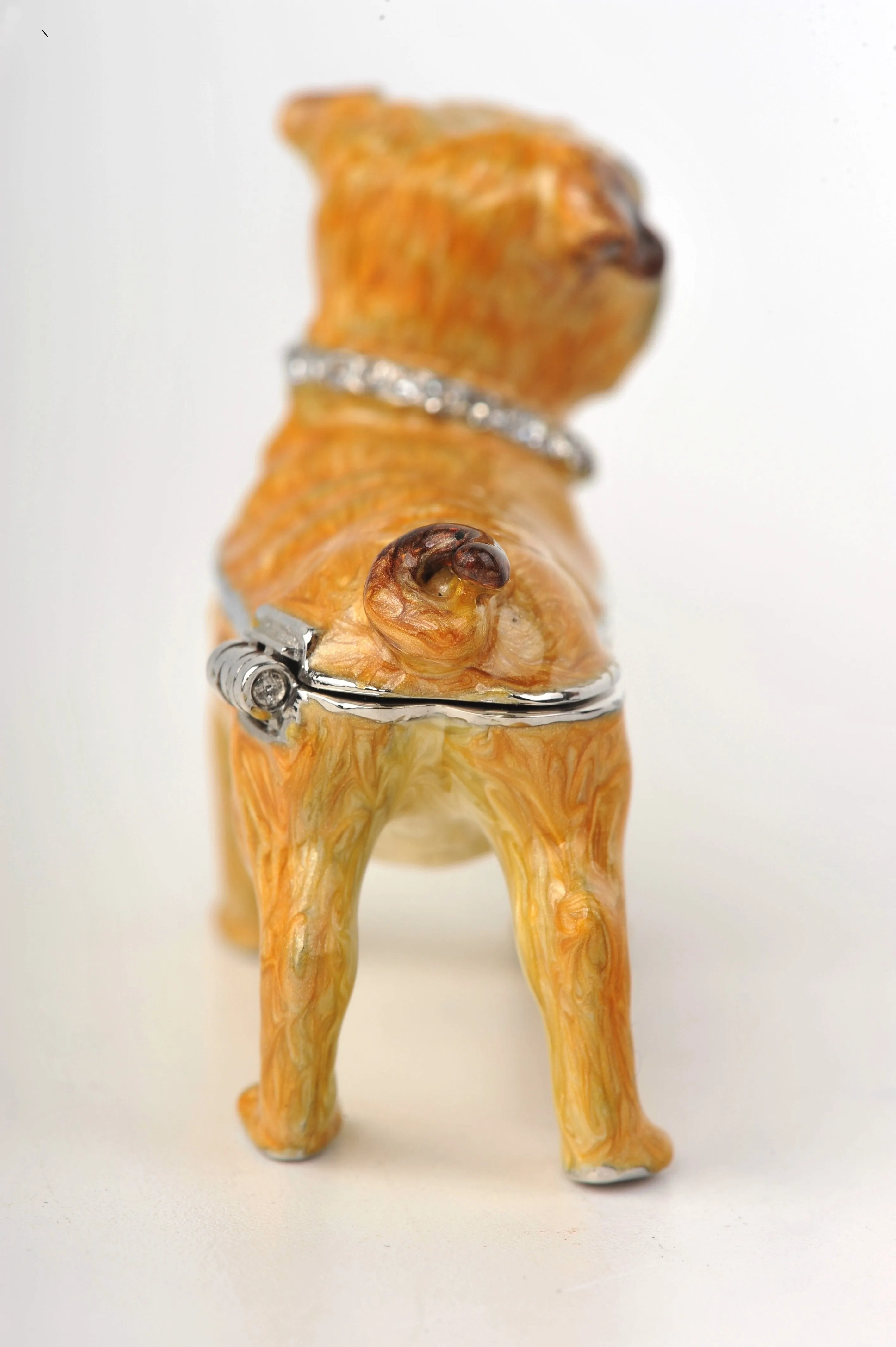Bulldog Dog