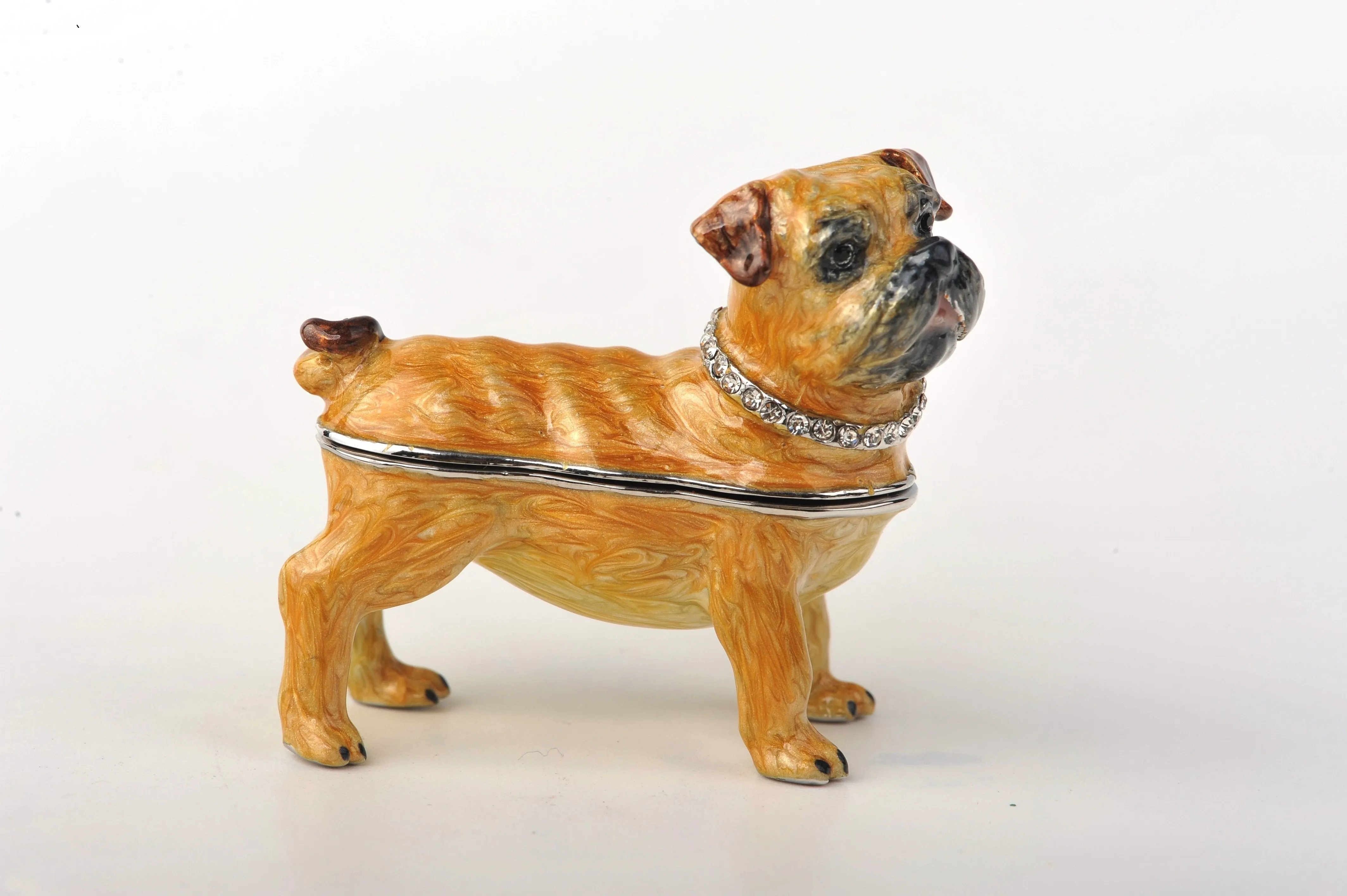 Bulldog Dog
