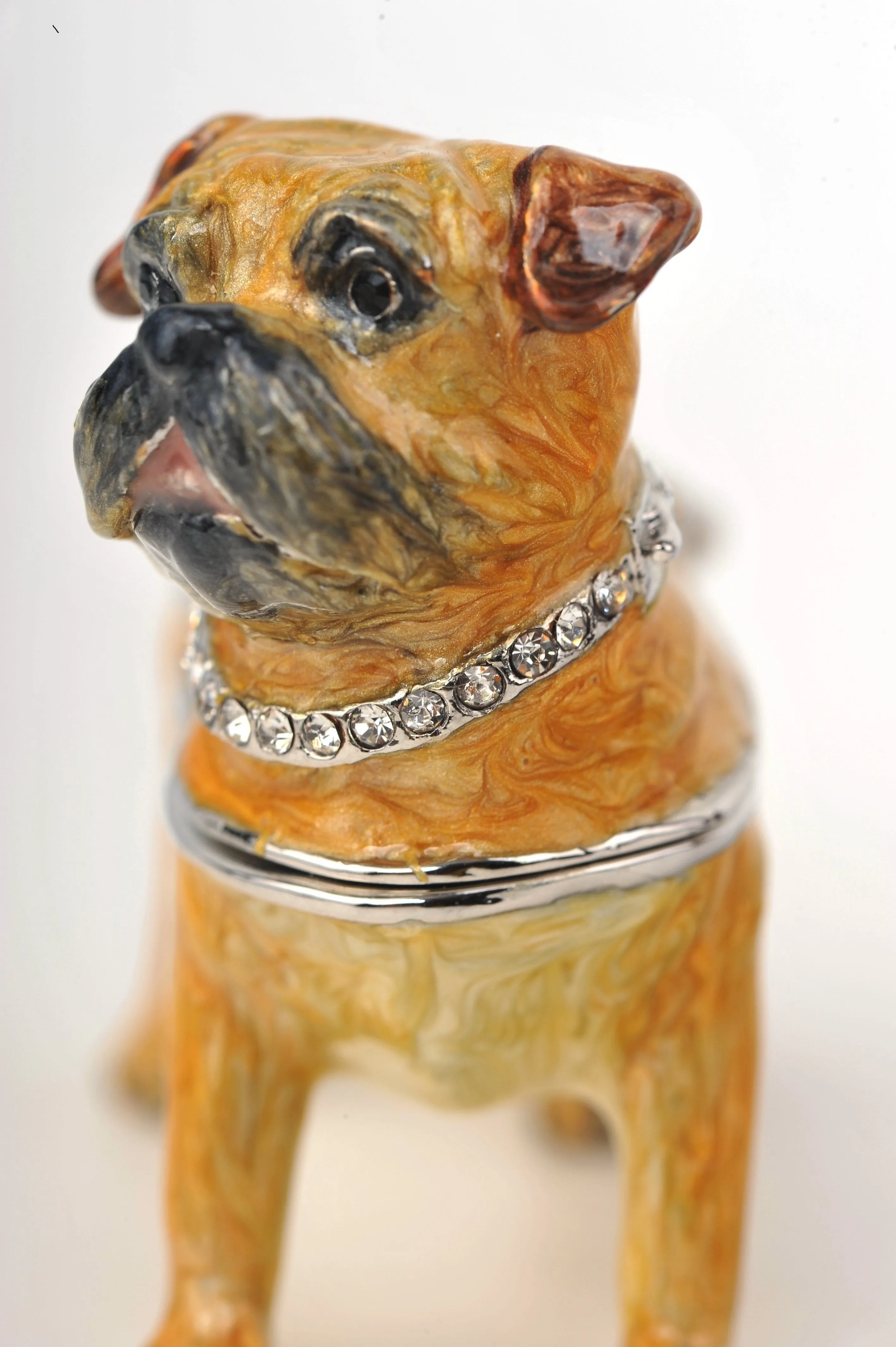 Bulldog Dog