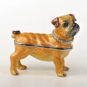 Bulldog Dog