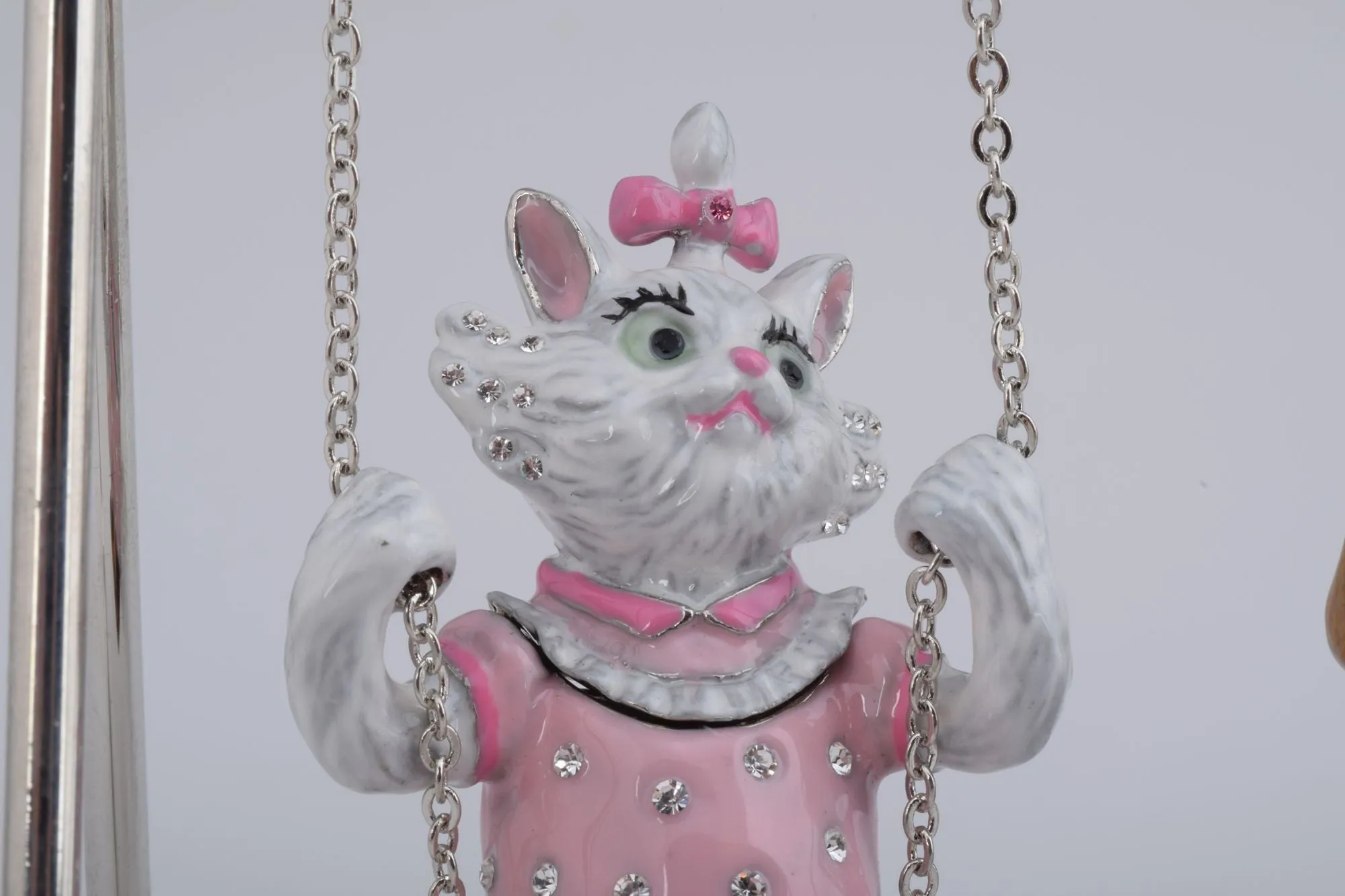 Cat & Dog Swinging