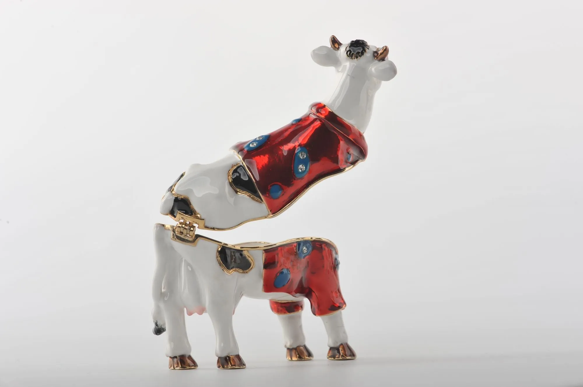 Cow with a Red Shirt