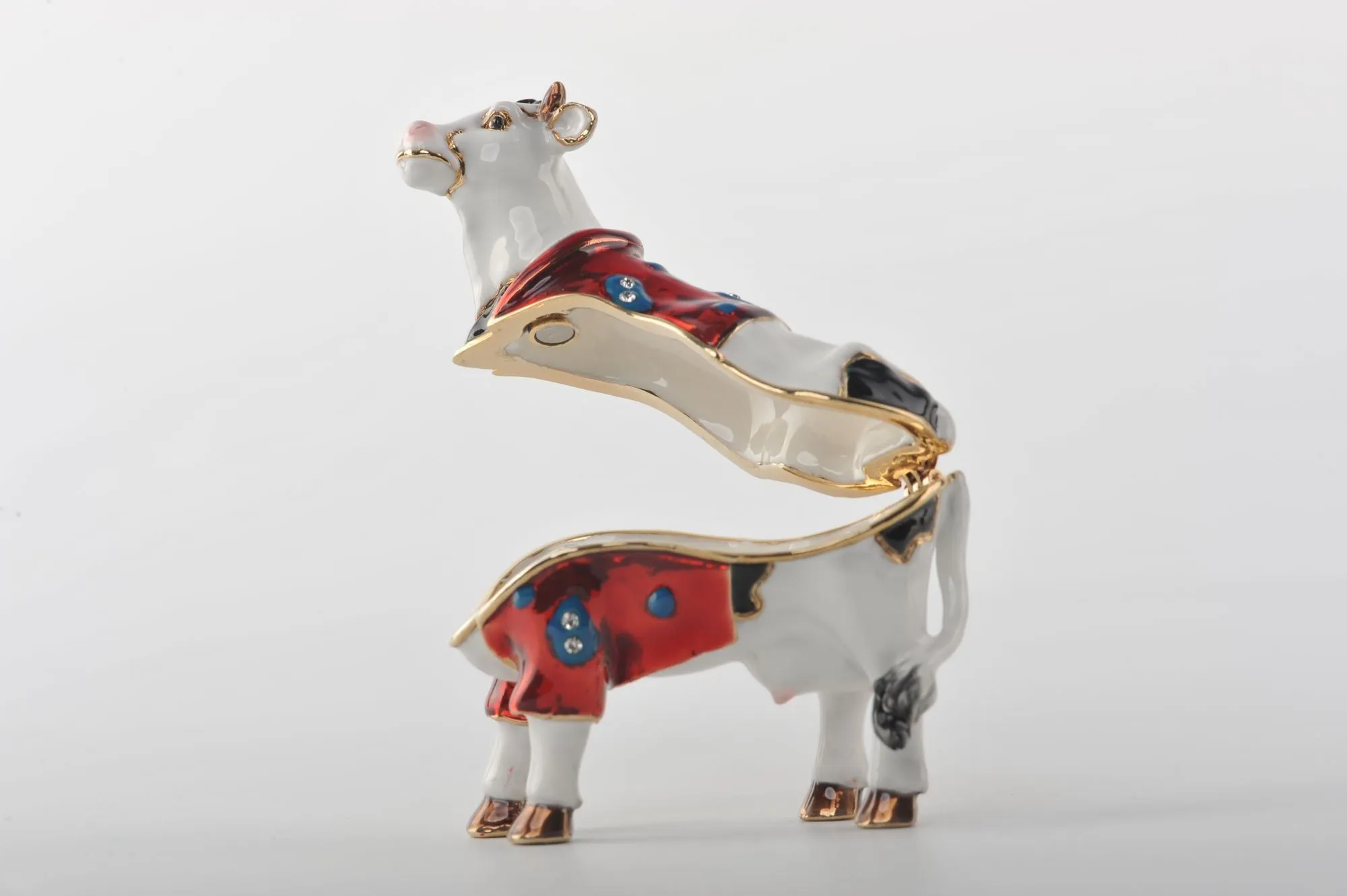 Cow with a Red Shirt
