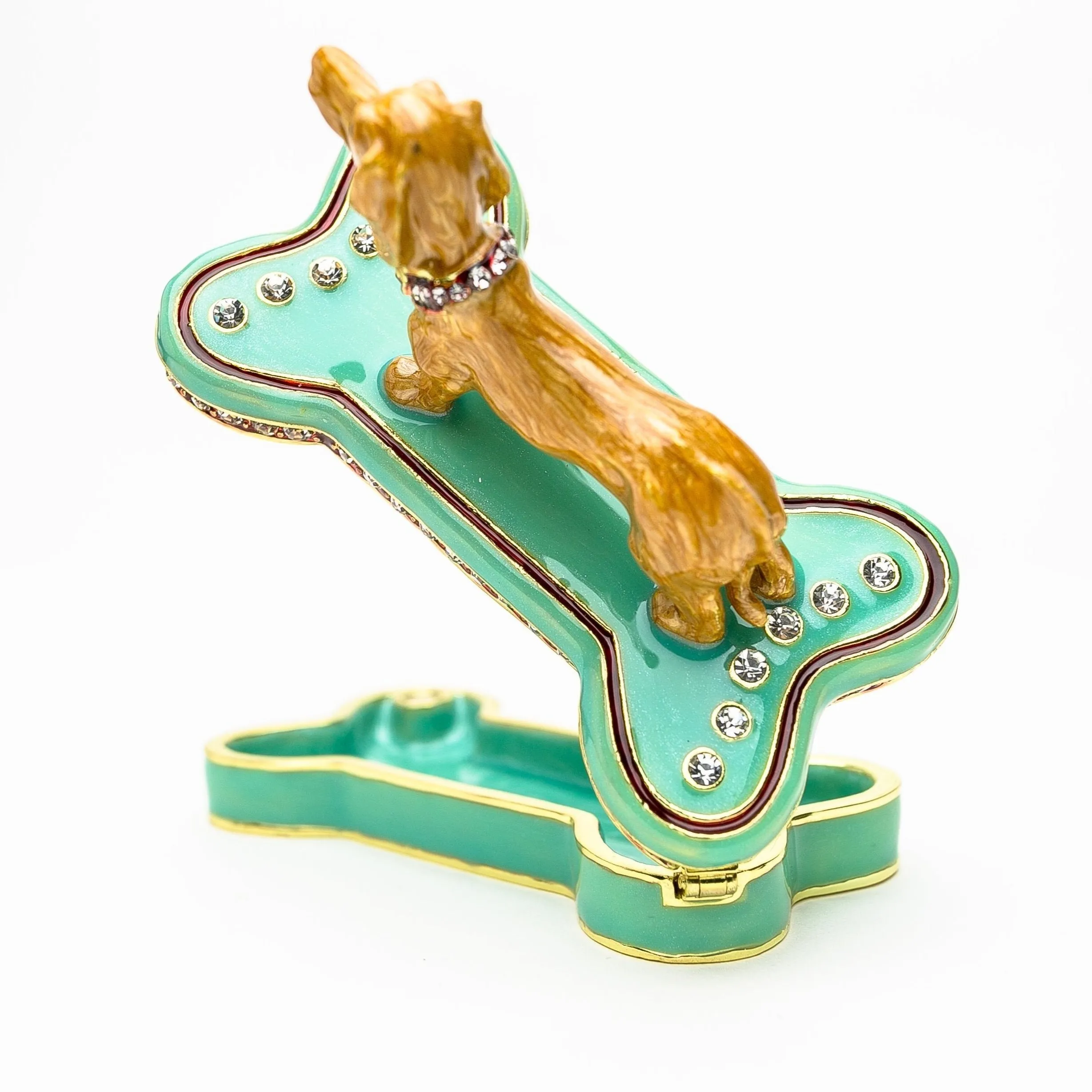 Dachshund Dog Sitting on Bone