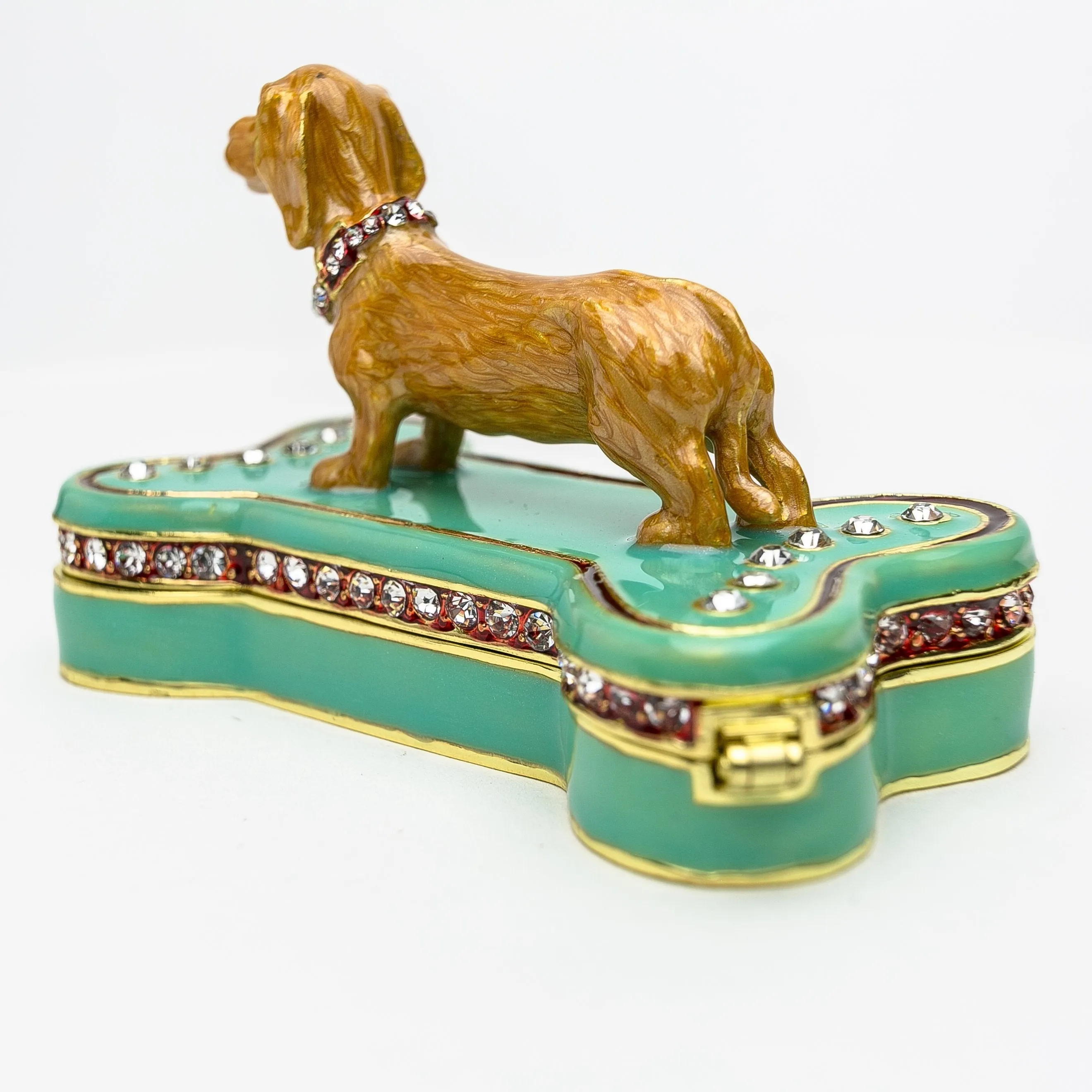 Dachshund Dog Sitting on Bone
