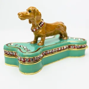 Dachshund Dog Sitting on Bone