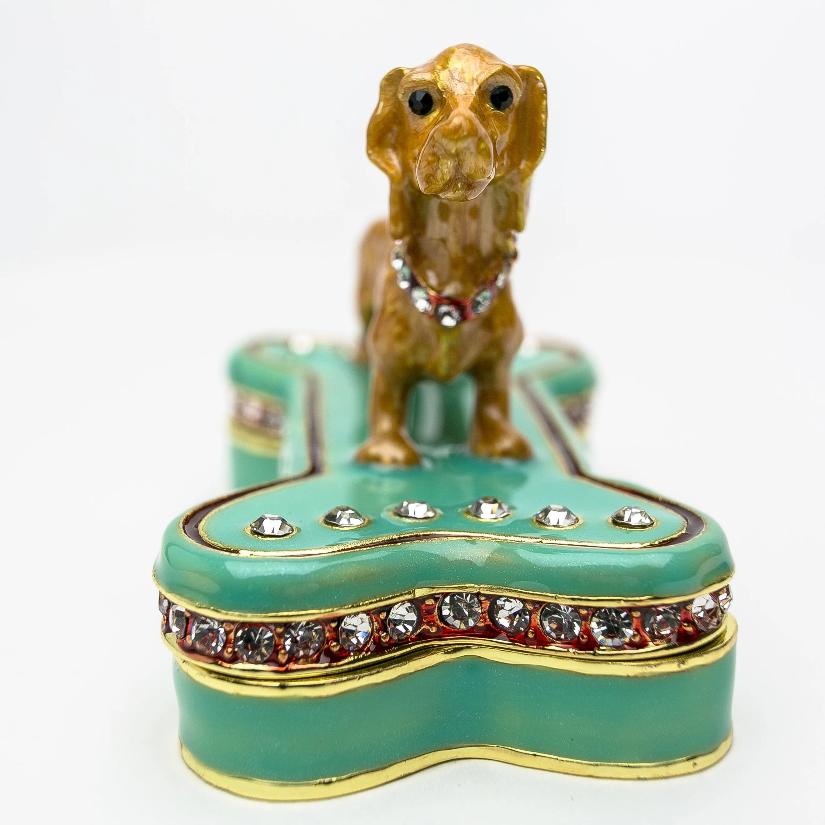 Dachshund Dog Sitting on Bone