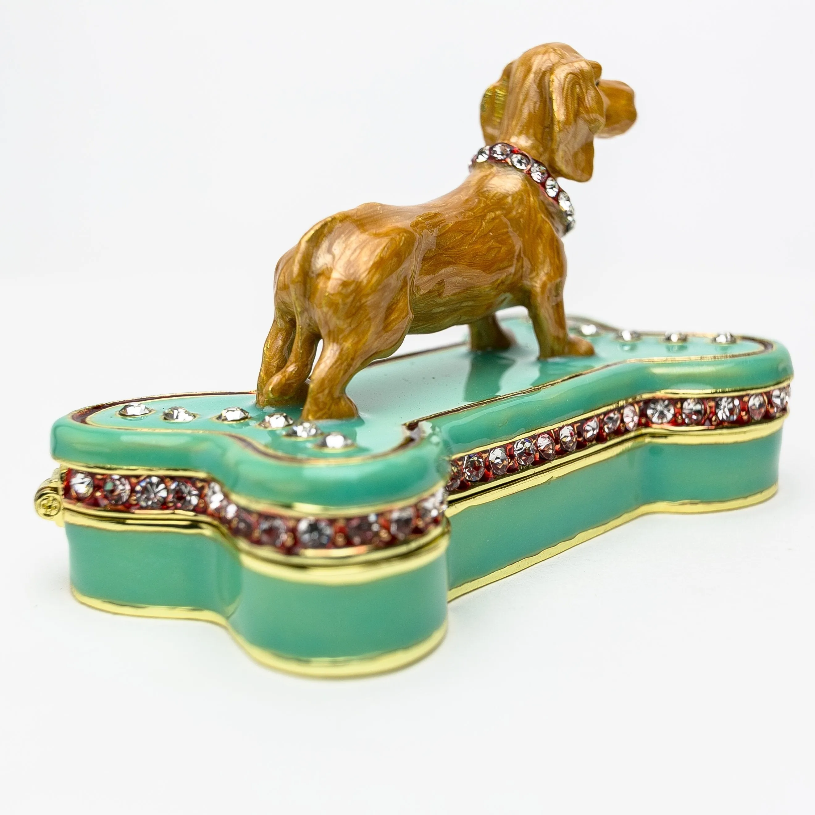 Dachshund Dog Sitting on Bone