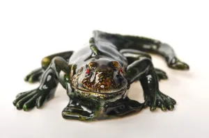 Dark Green Lizard