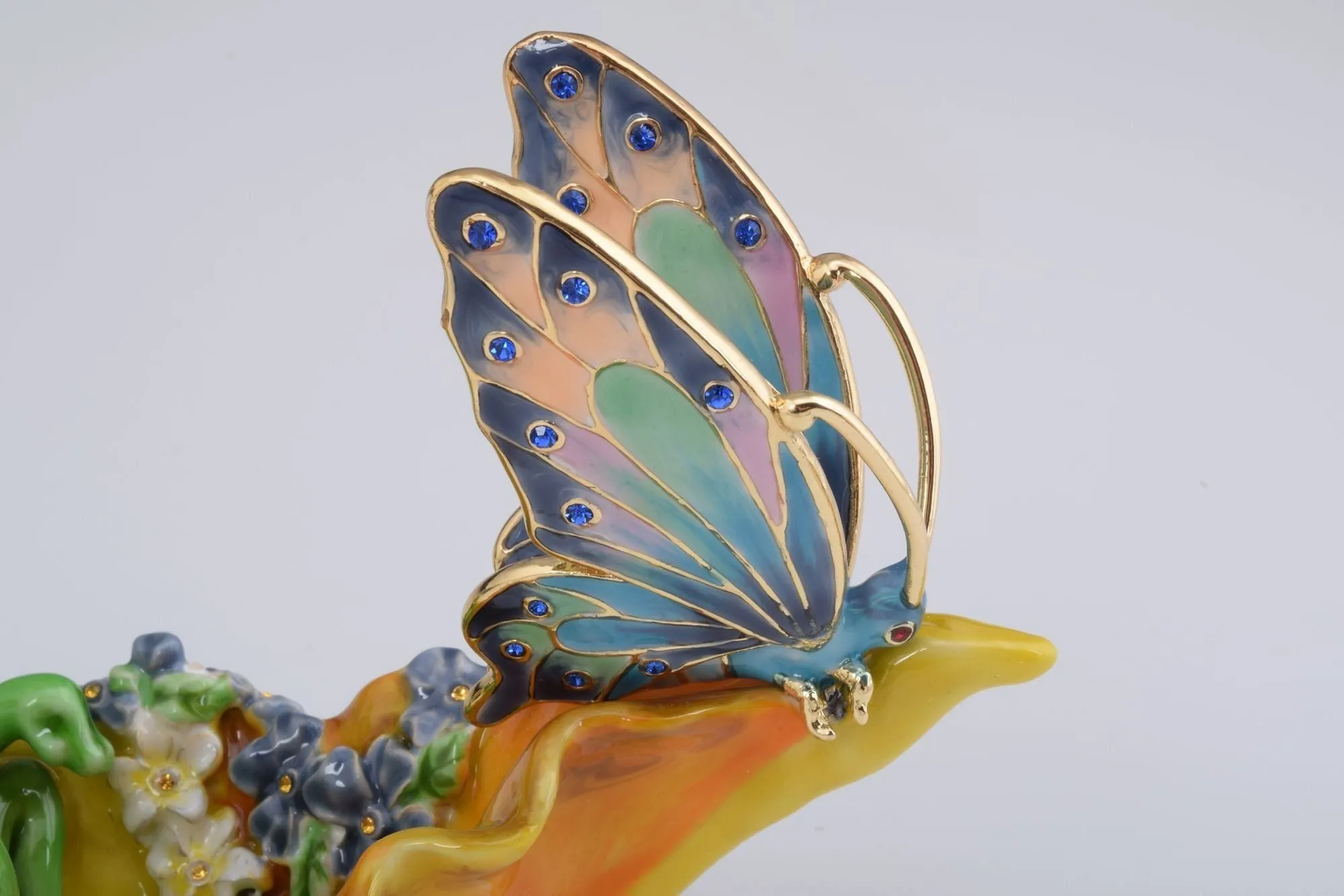 Frog and a Butterfly in a Shell