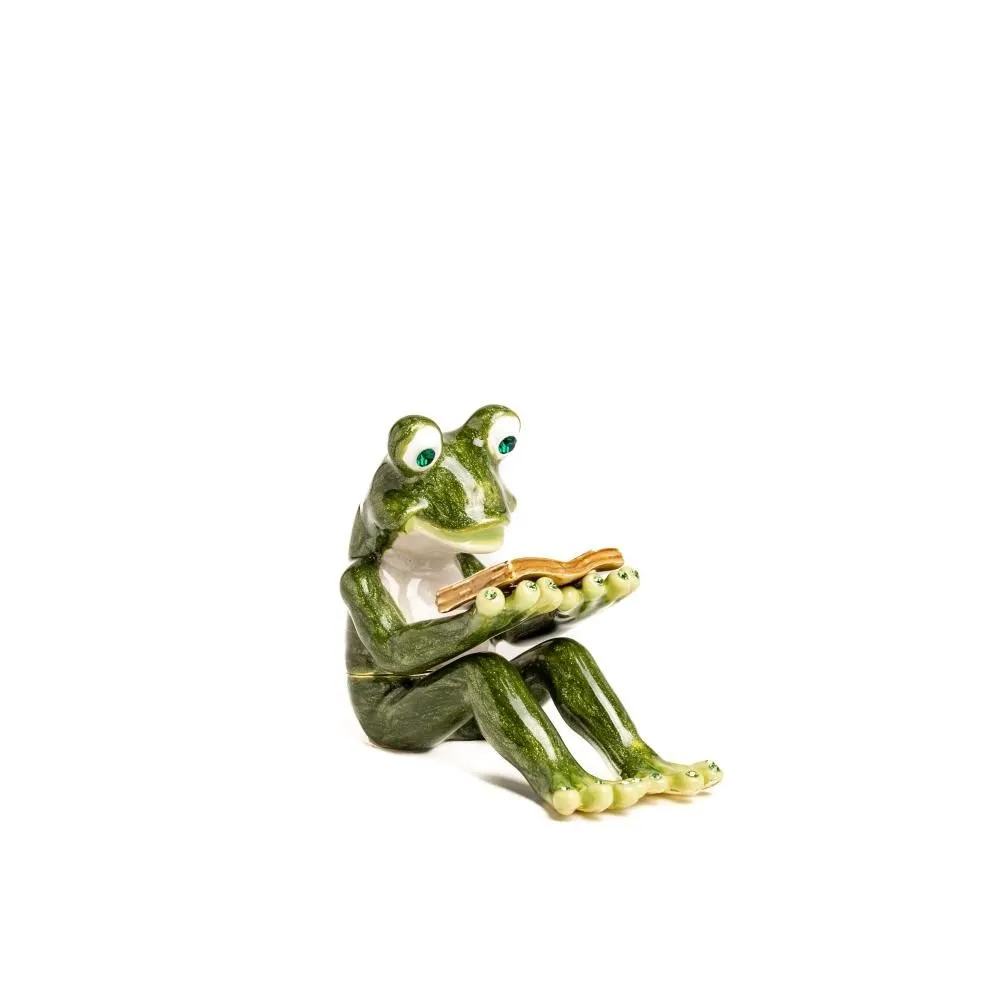 Frog Reading a Book