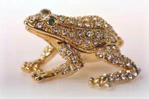 Golden Frog