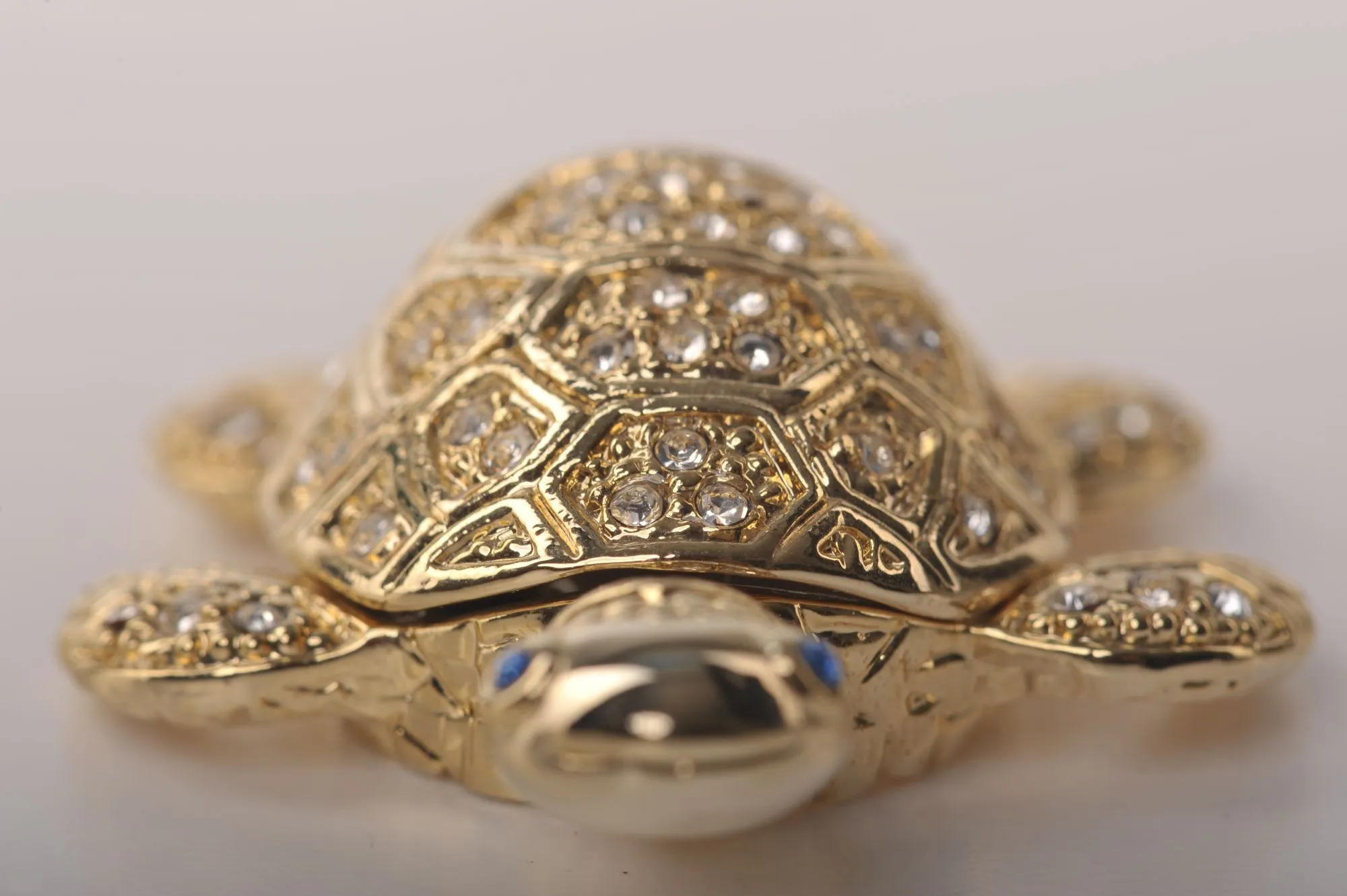 Golden Sea Turtle