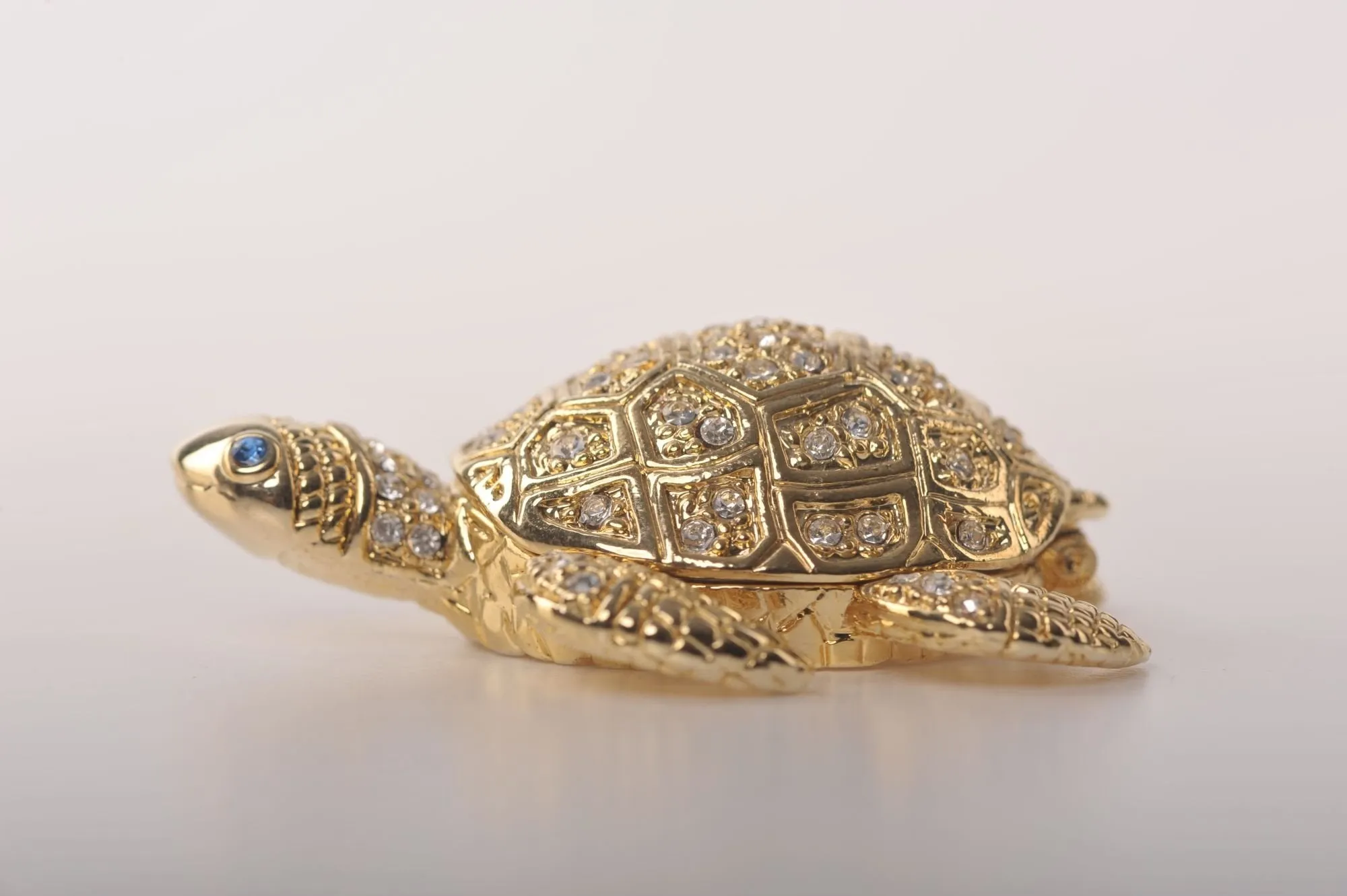 Golden Sea Turtle
