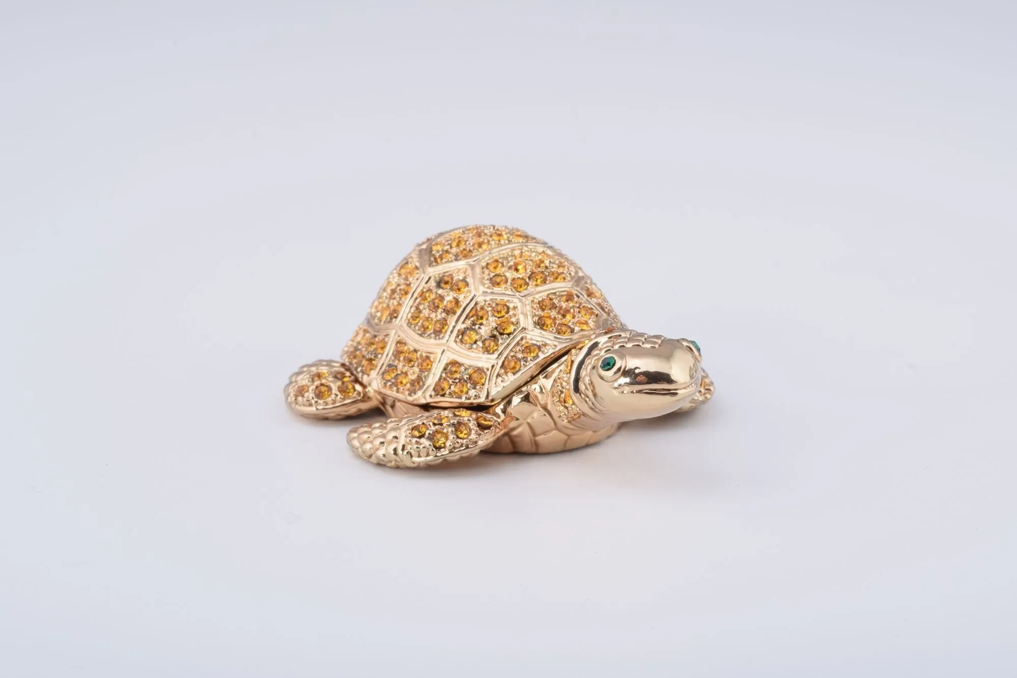 Golden Turtle