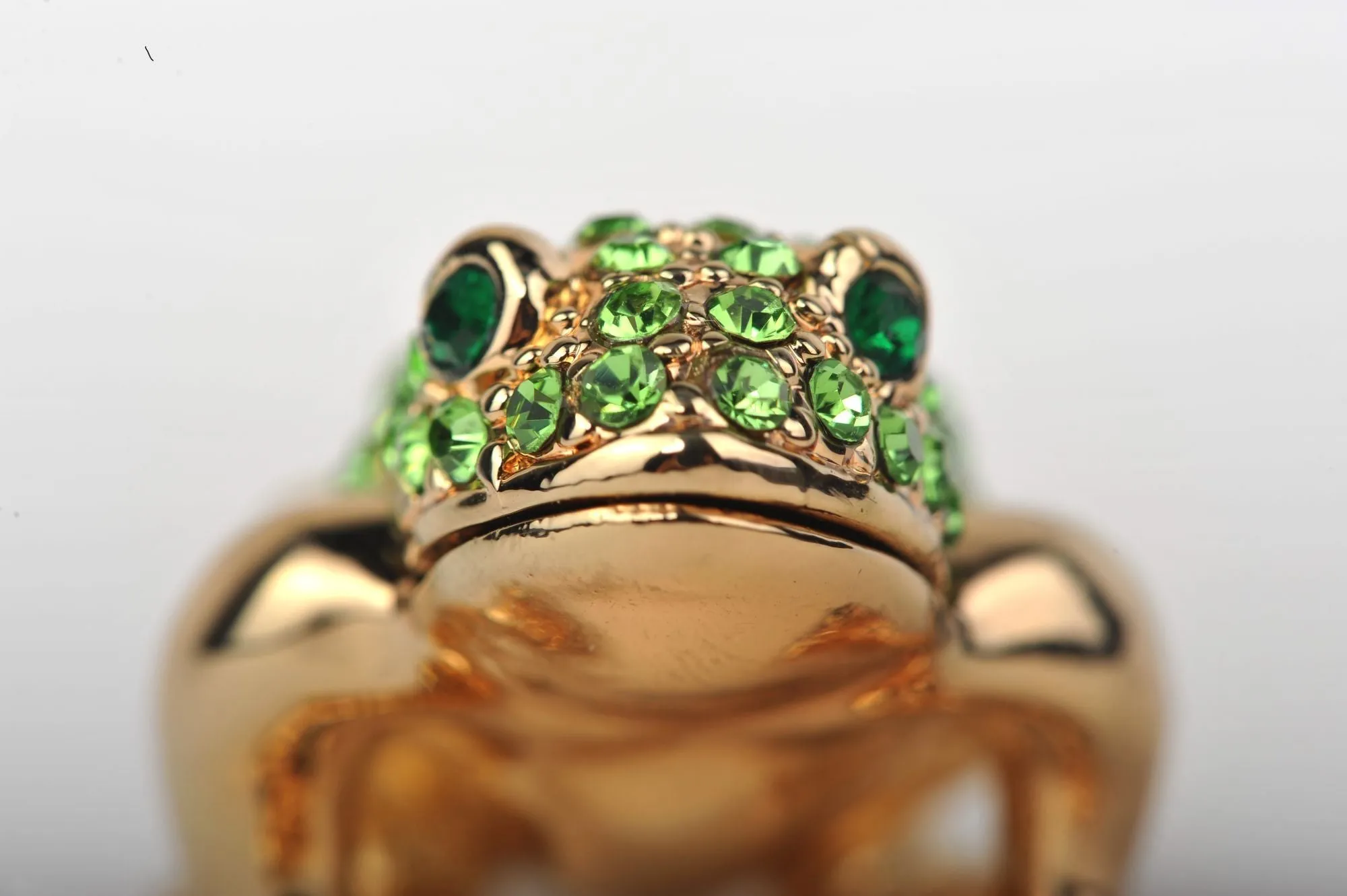 Green and Gold Sitting Toad