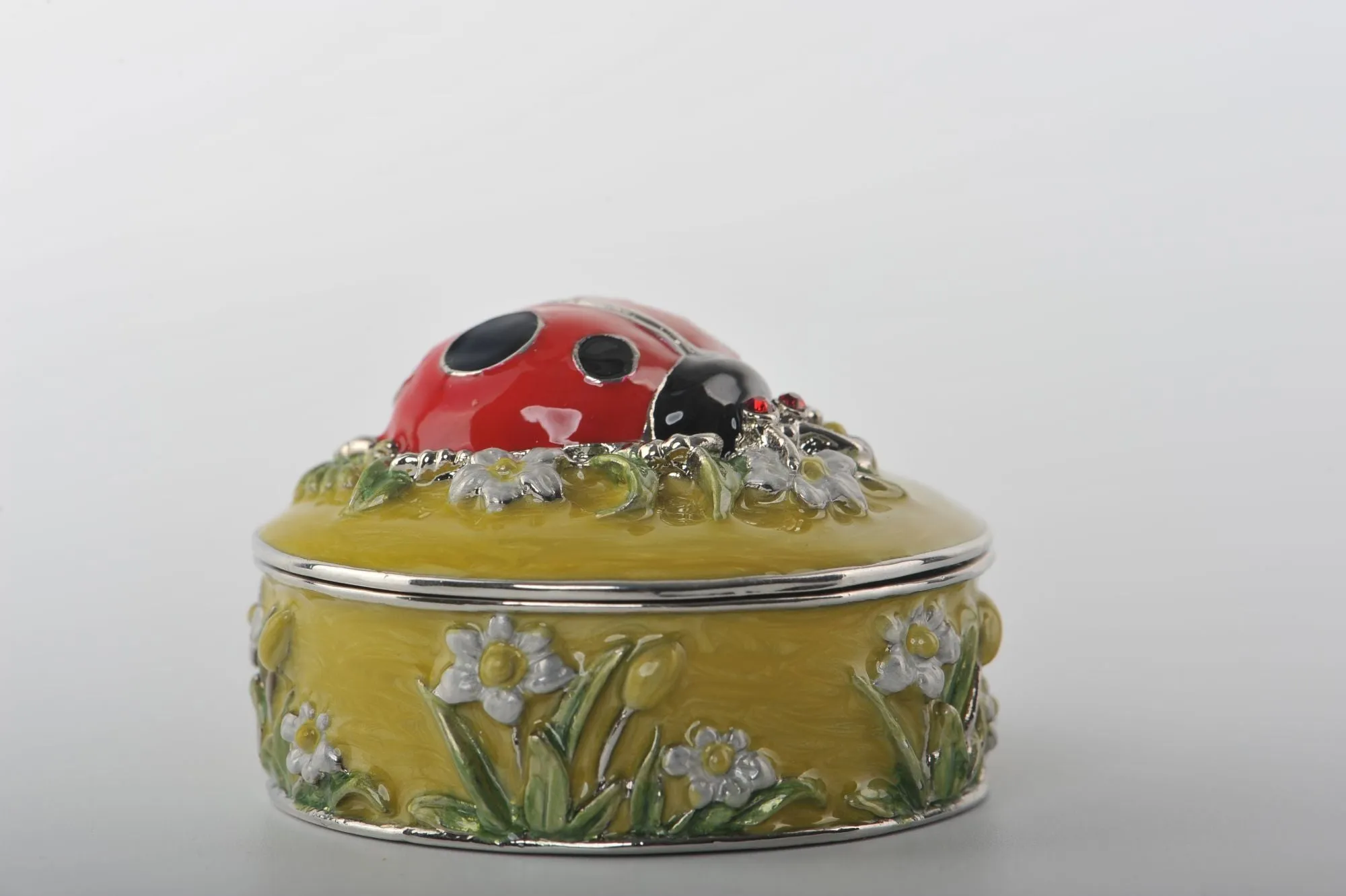 Green Box with Red Ladybug