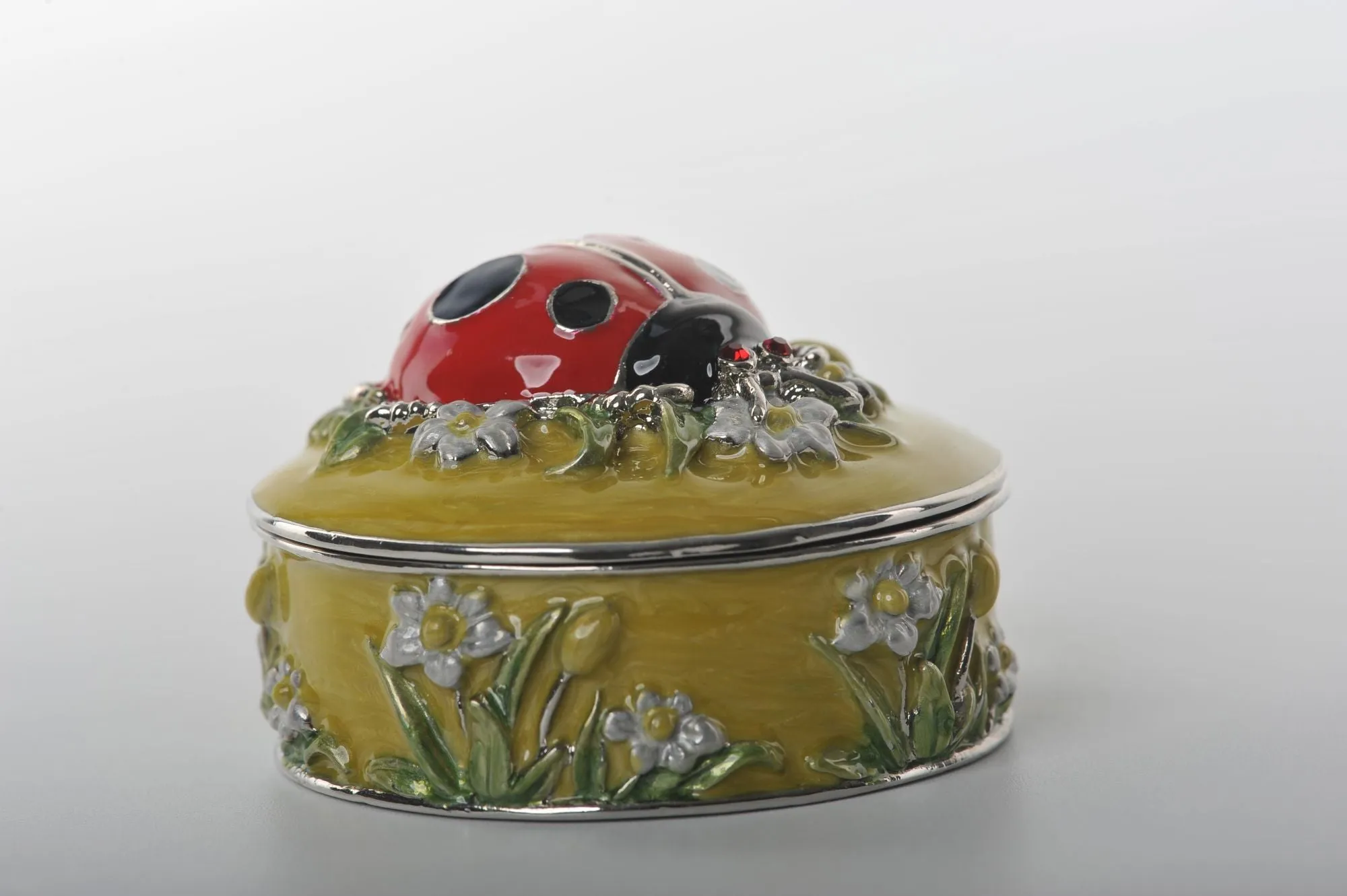 Green Box with Red Ladybug