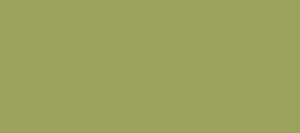 Herbaceous TD