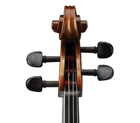 Ivan Dunov Master Model 403 Cello 2008