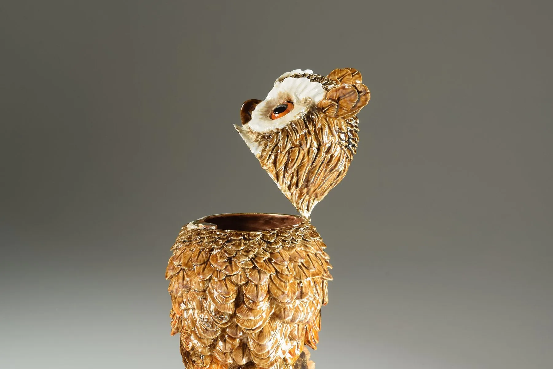 Large Brown Owl