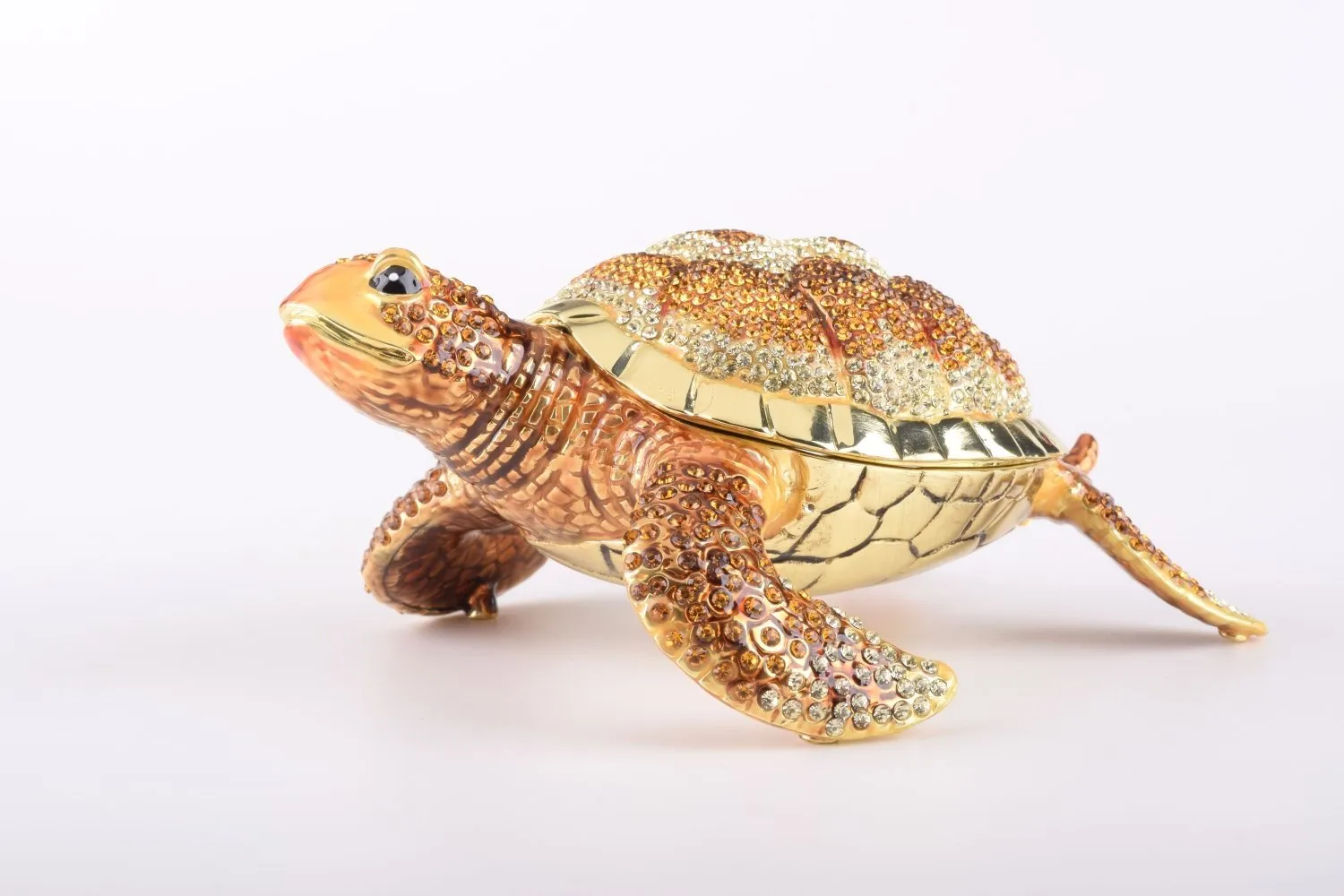 Large Brown Sea Turtle
