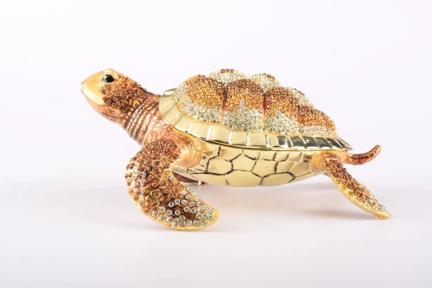 Large Brown Sea Turtle