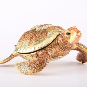 Large Brown Sea Turtle