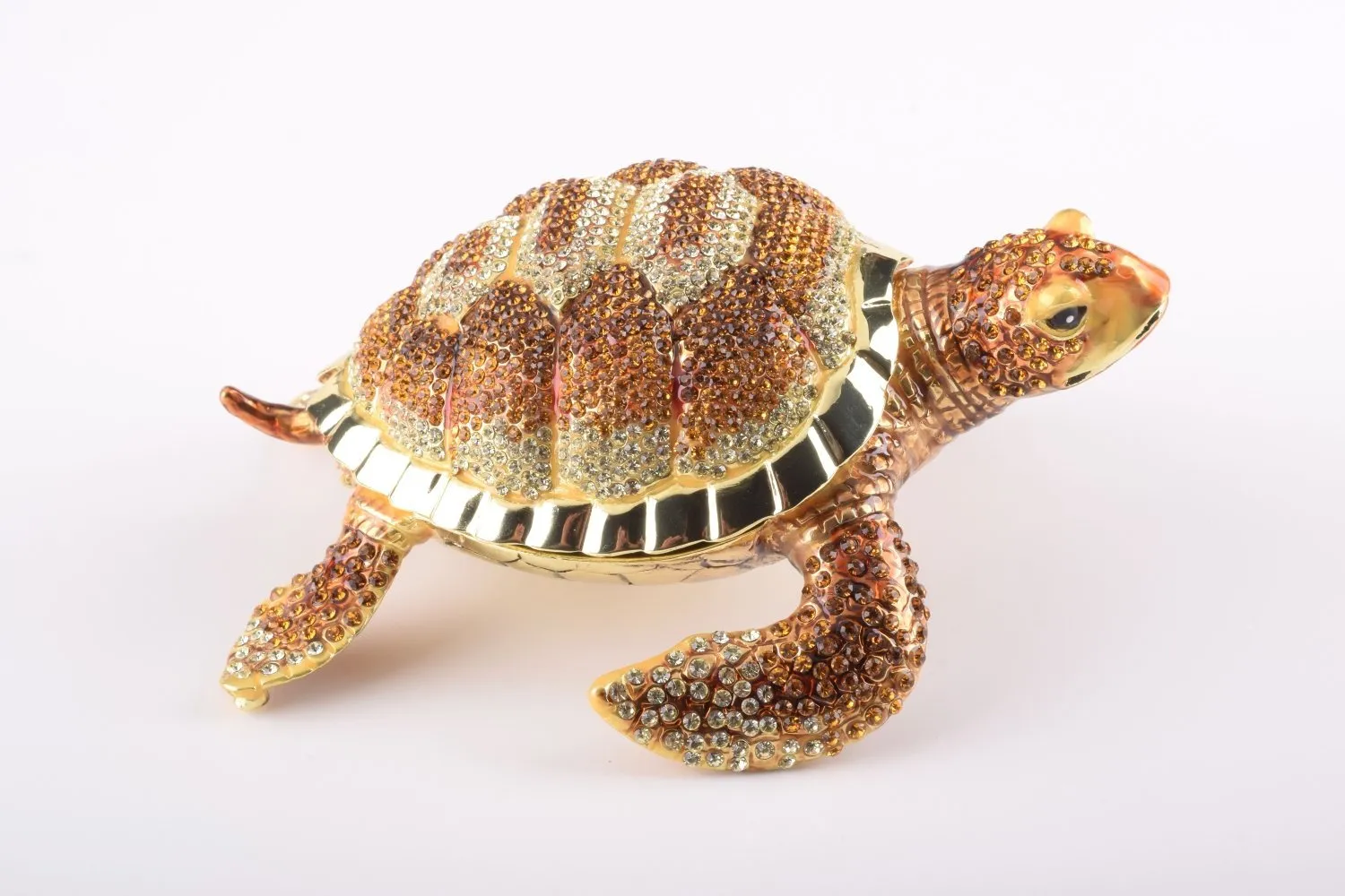 Large Brown Sea Turtle