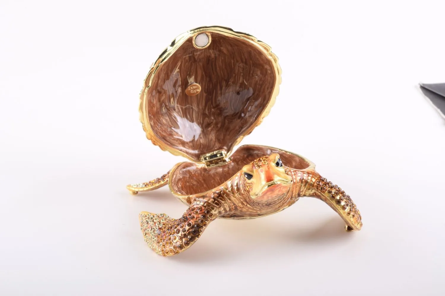 Large Brown Sea Turtle